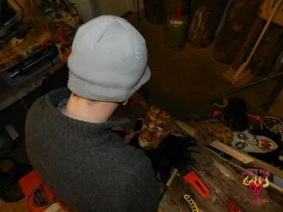 Bilder Bild 1