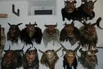 -Neue-MASKEN-und-FELLE-im-Shop-